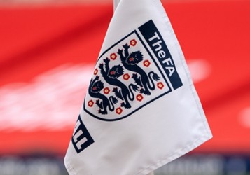 DBS Check Flag